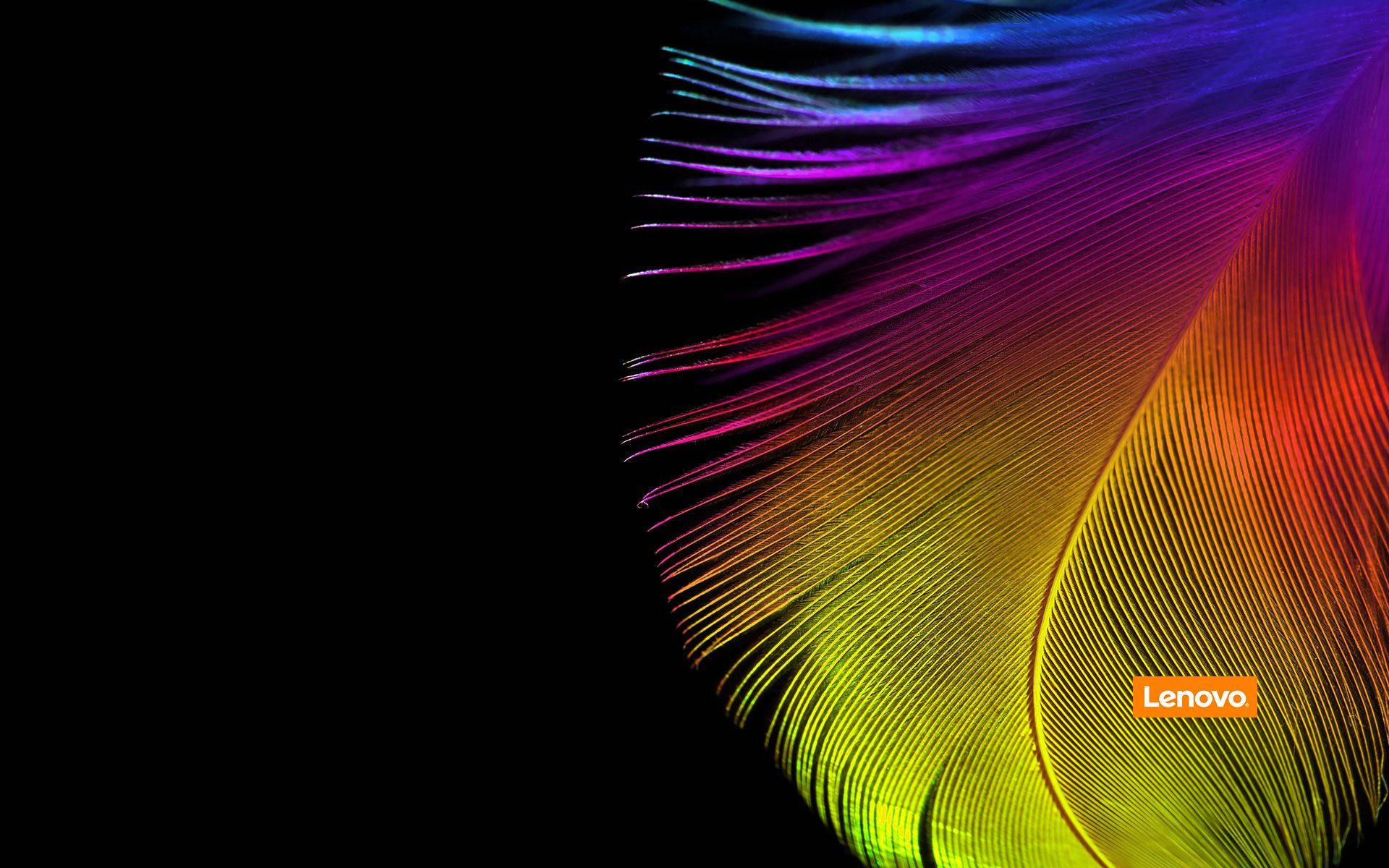 Colorful Feather Yoga Lenovo Official Background