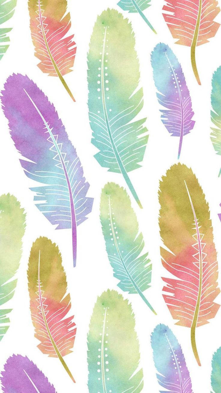 Colorful Feathers For Girl Phone Theme