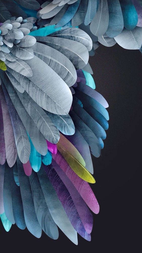 Colorful Feathers Iphone 11 Background