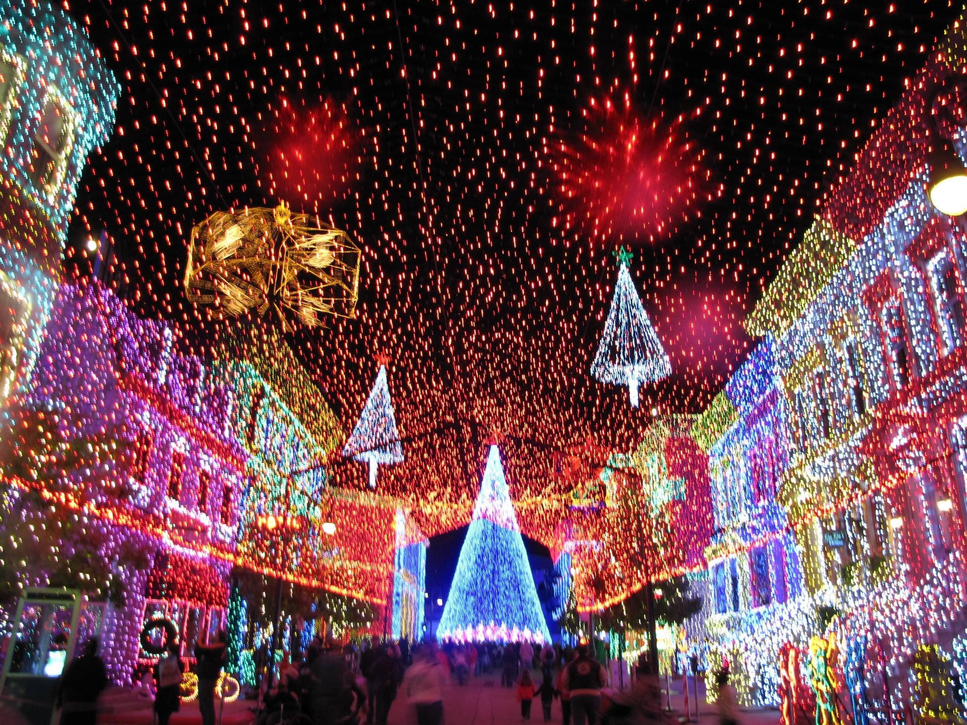 Colorful Festive Christmas Lights Wide Angle Shot