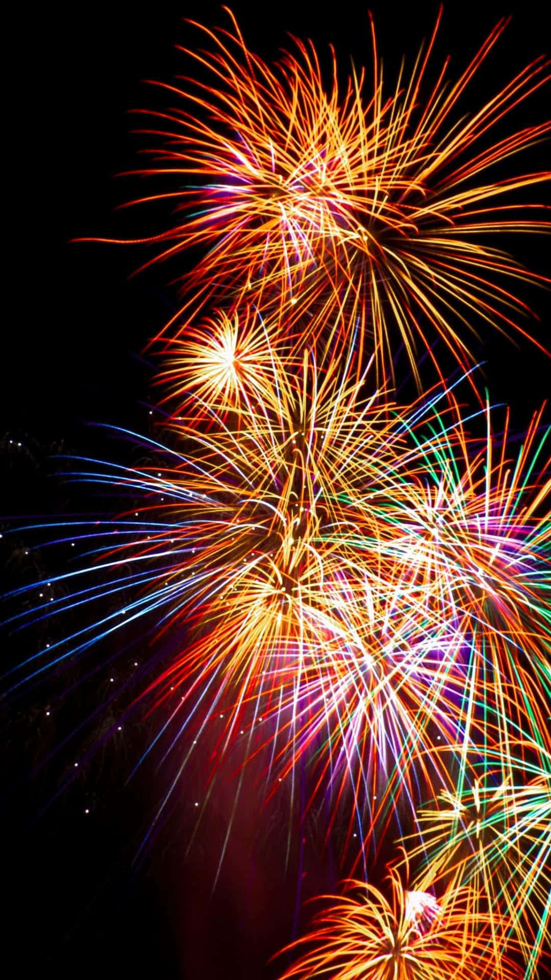 Colorful Fireworks Display Portrait