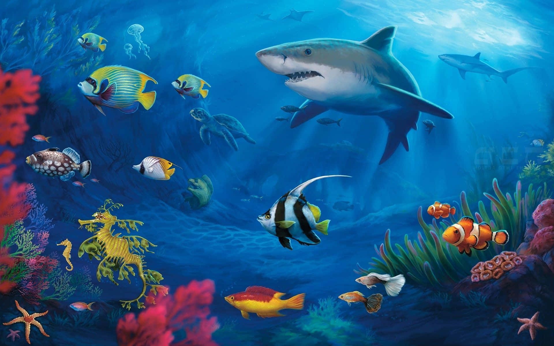 Colorful Fish Desktop Wallpaper Background
