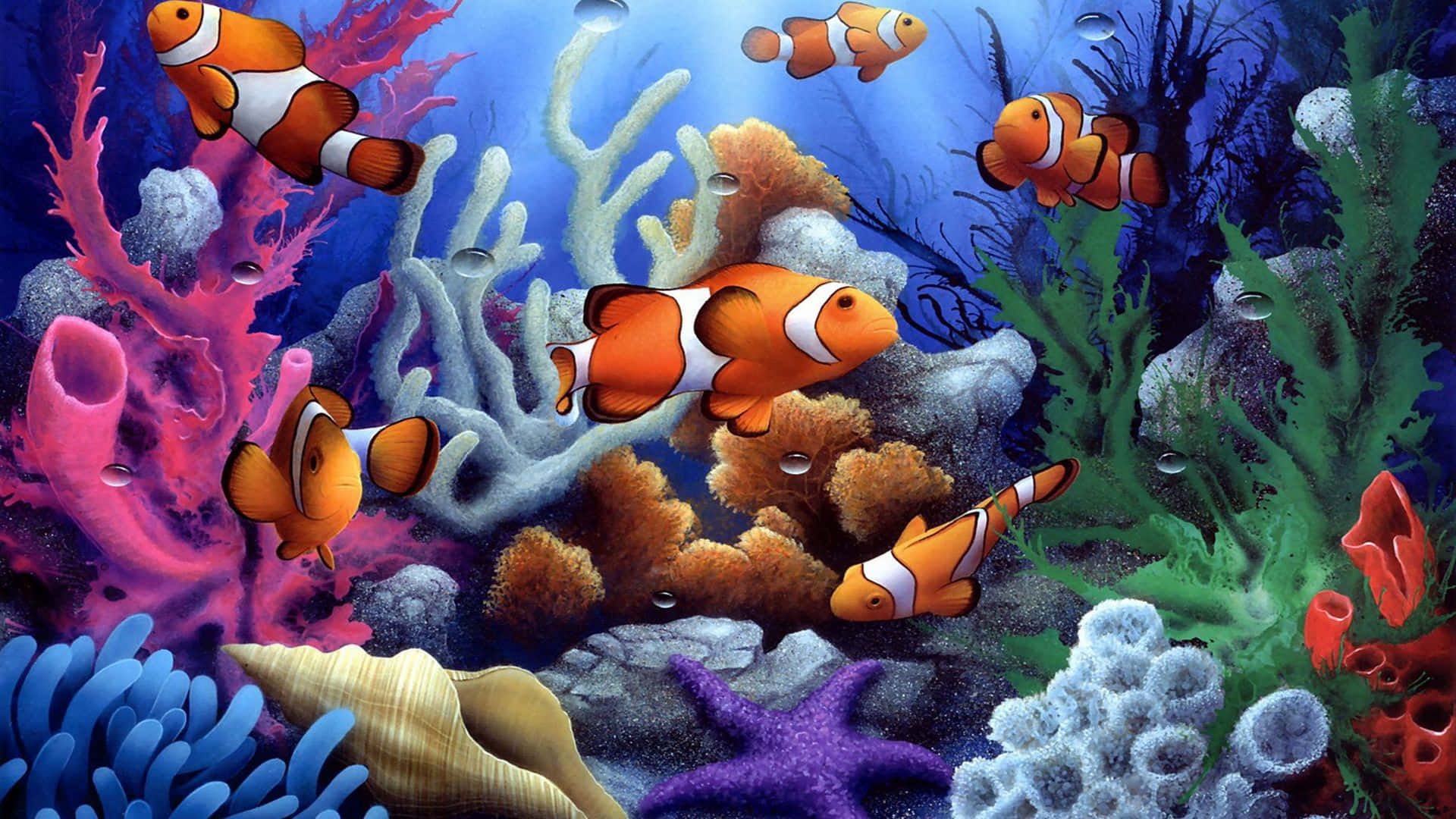 Colorful Fish Swim In The Blue Ocean Background