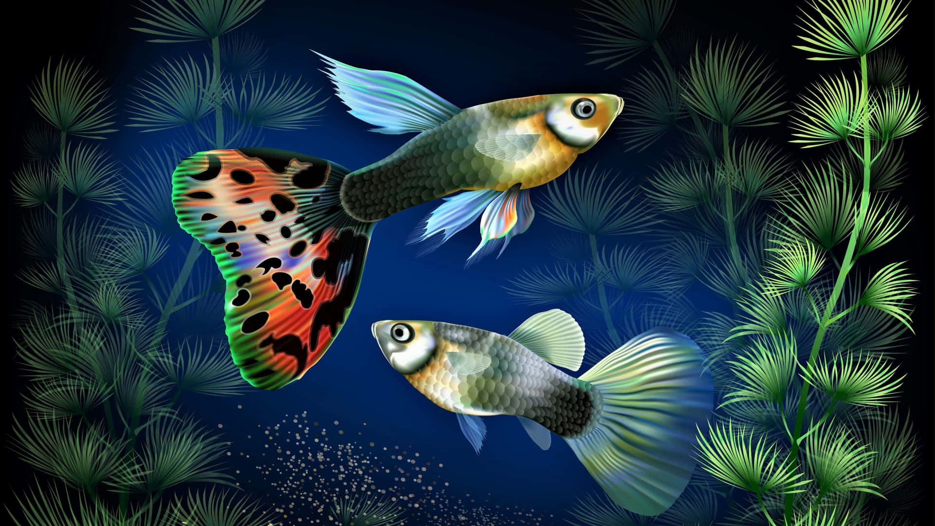 Colorful Fish Swimming In A Coral Reef