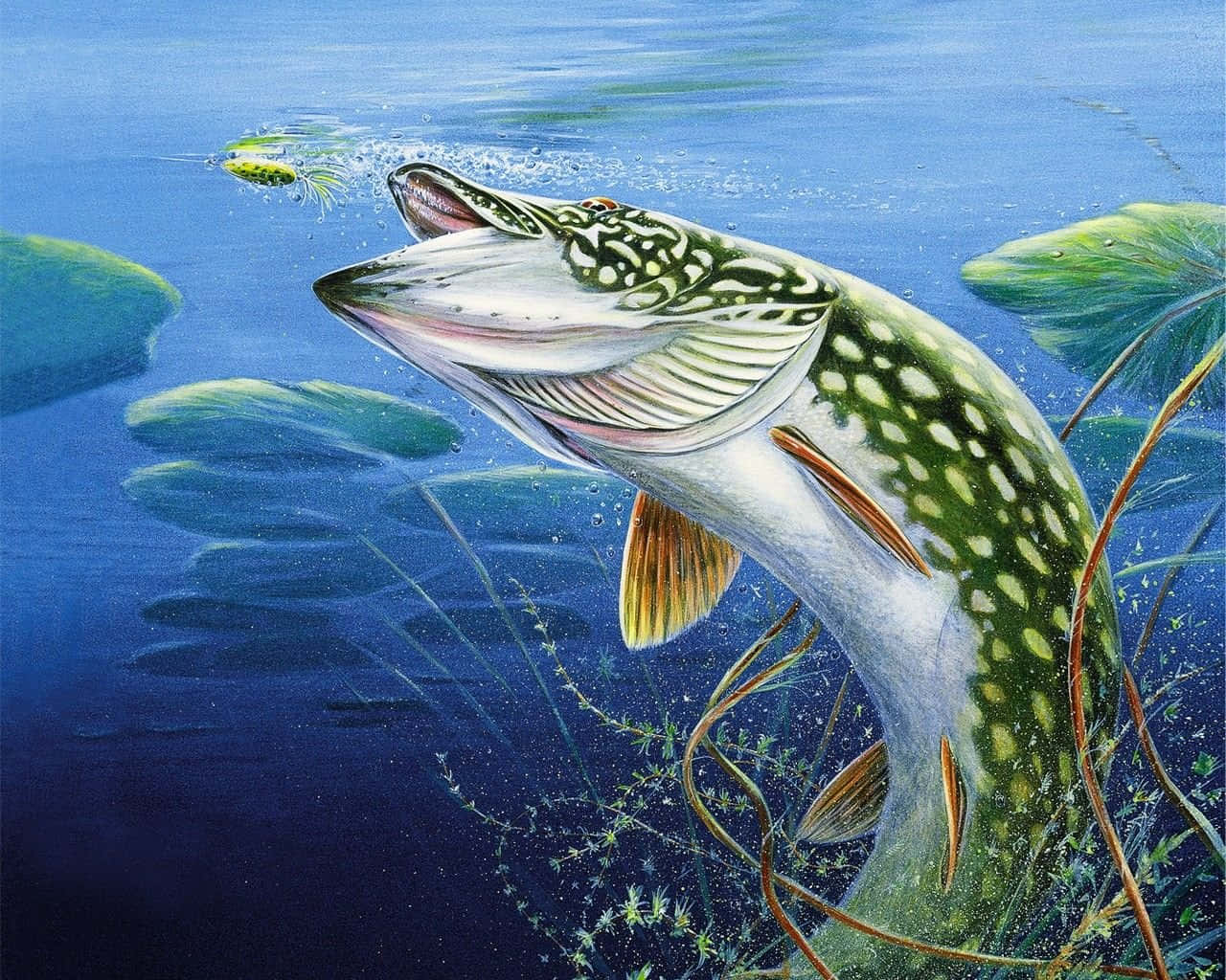 Colorful Fish Swimming In Seascape Background