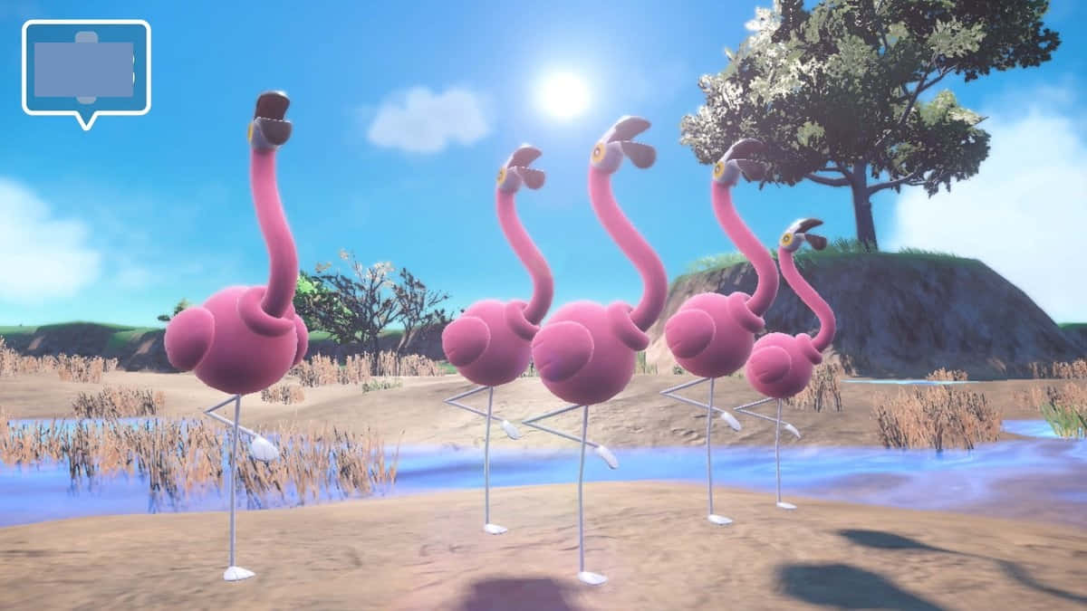 Colorful Flamigo Pokemon In Action Background
