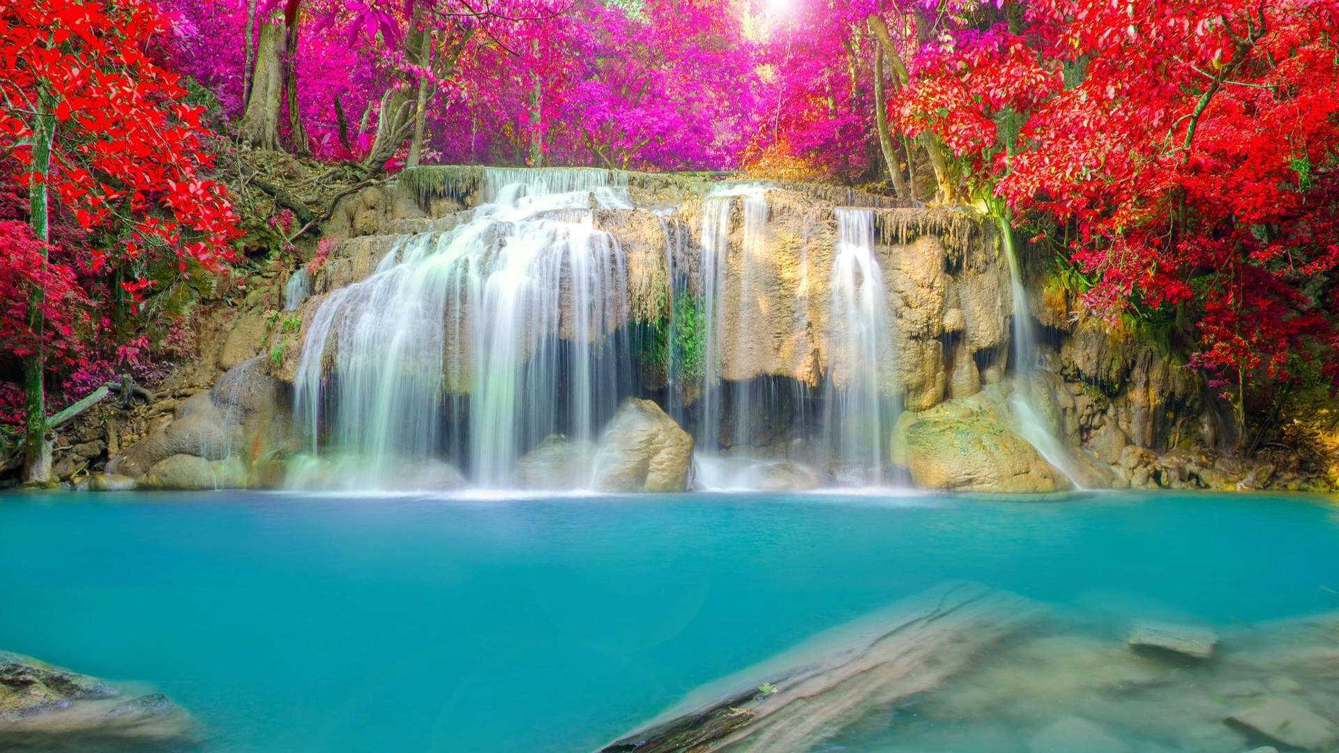 Colorful Floral Scene At Erawan Waterfall In Thailand Background