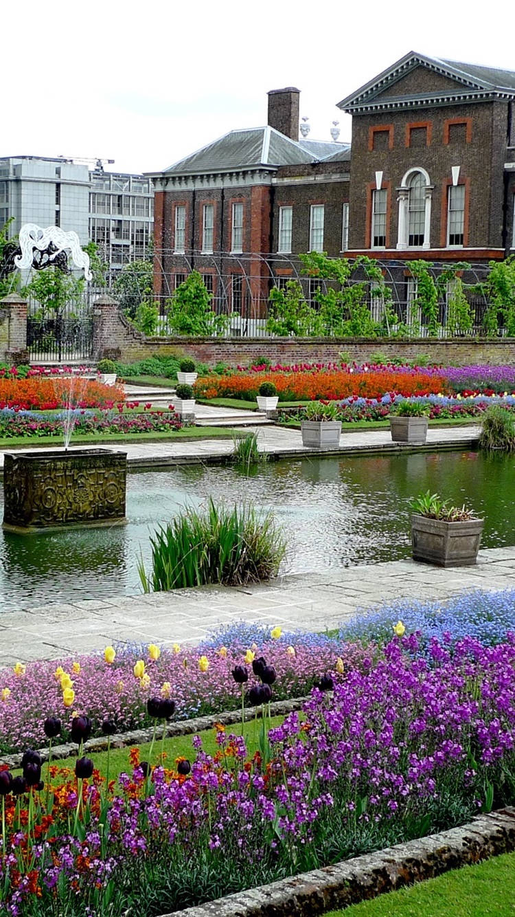 Colorful Flowers At Kensington Palace Background