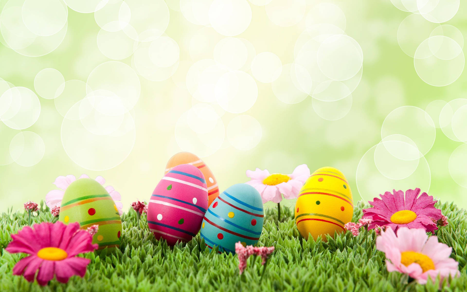 Colorful Happy Easter Eggs Bokeh Background
