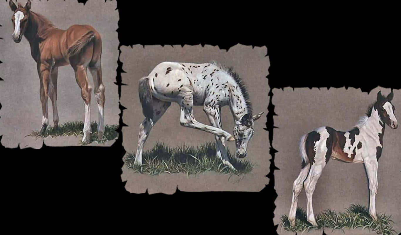 Colorful Horse Collage Background