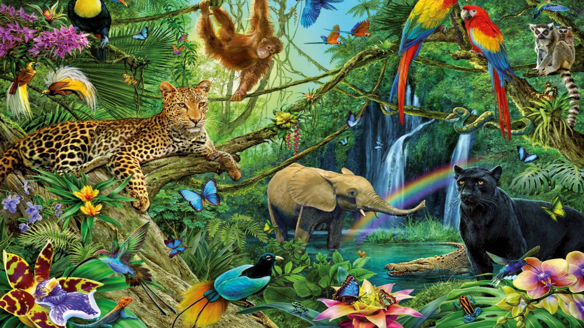 Colorful Jungle Graphic Art