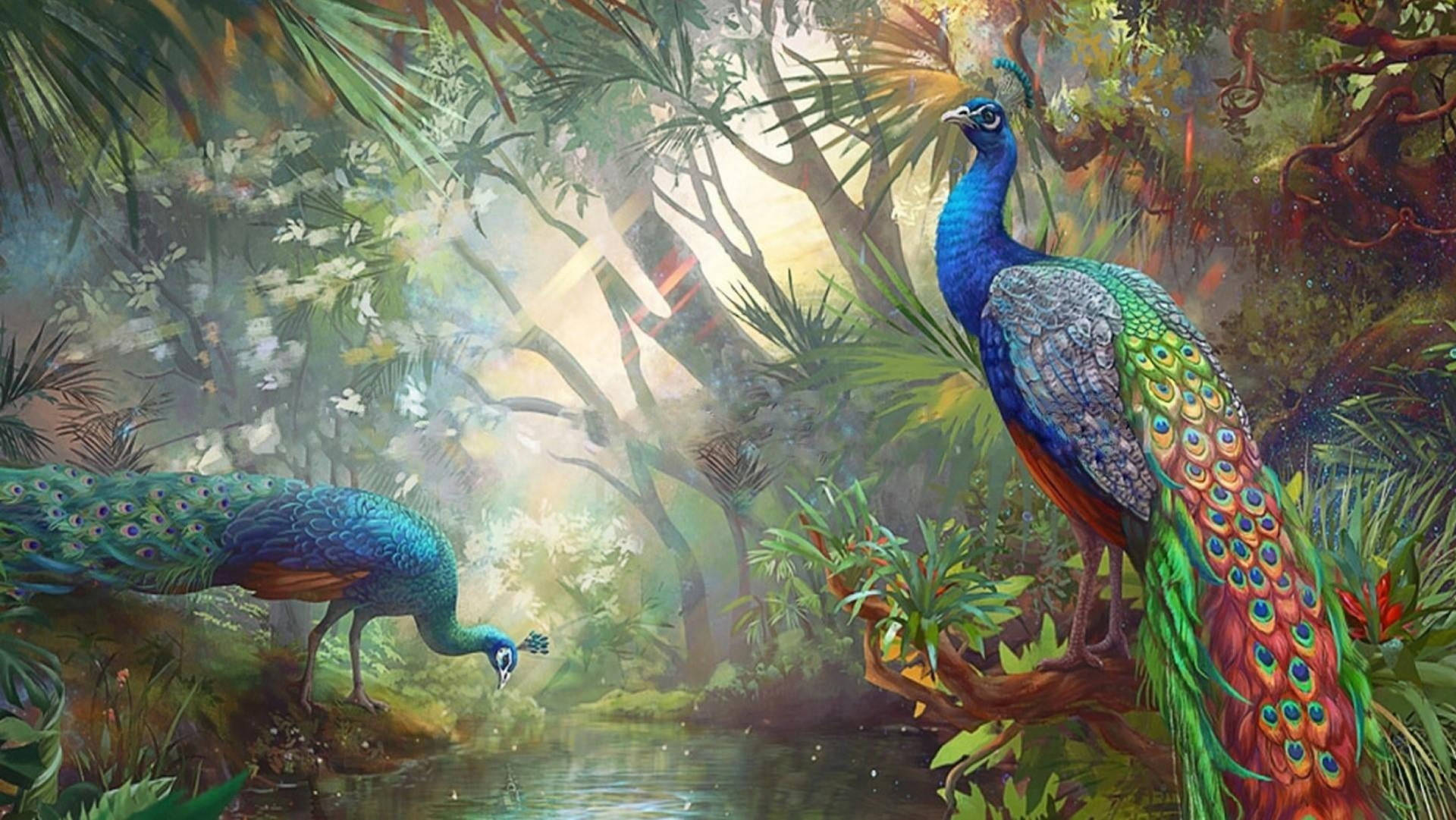 Colorful Jungle Peacocks Background
