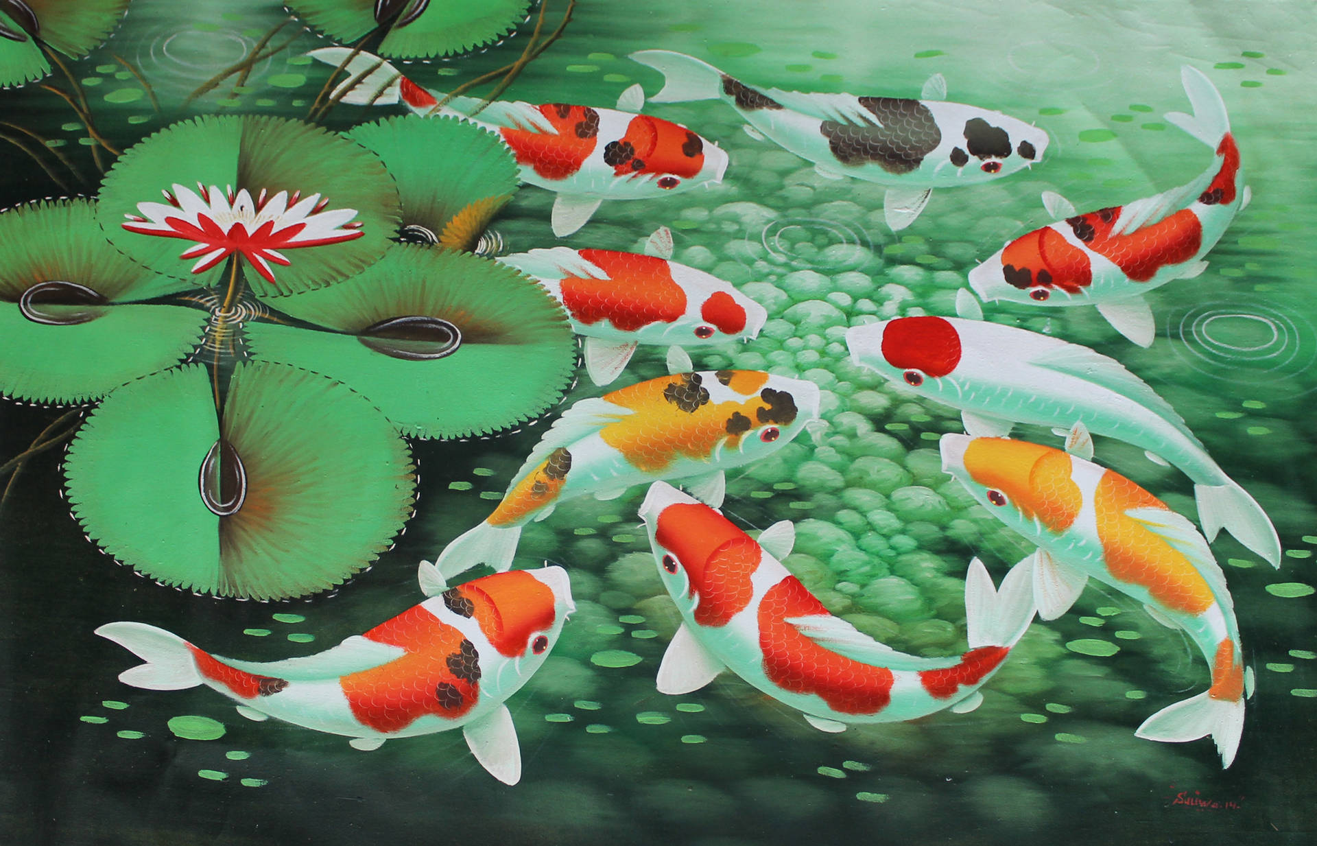 Colorful Koi Fish Background