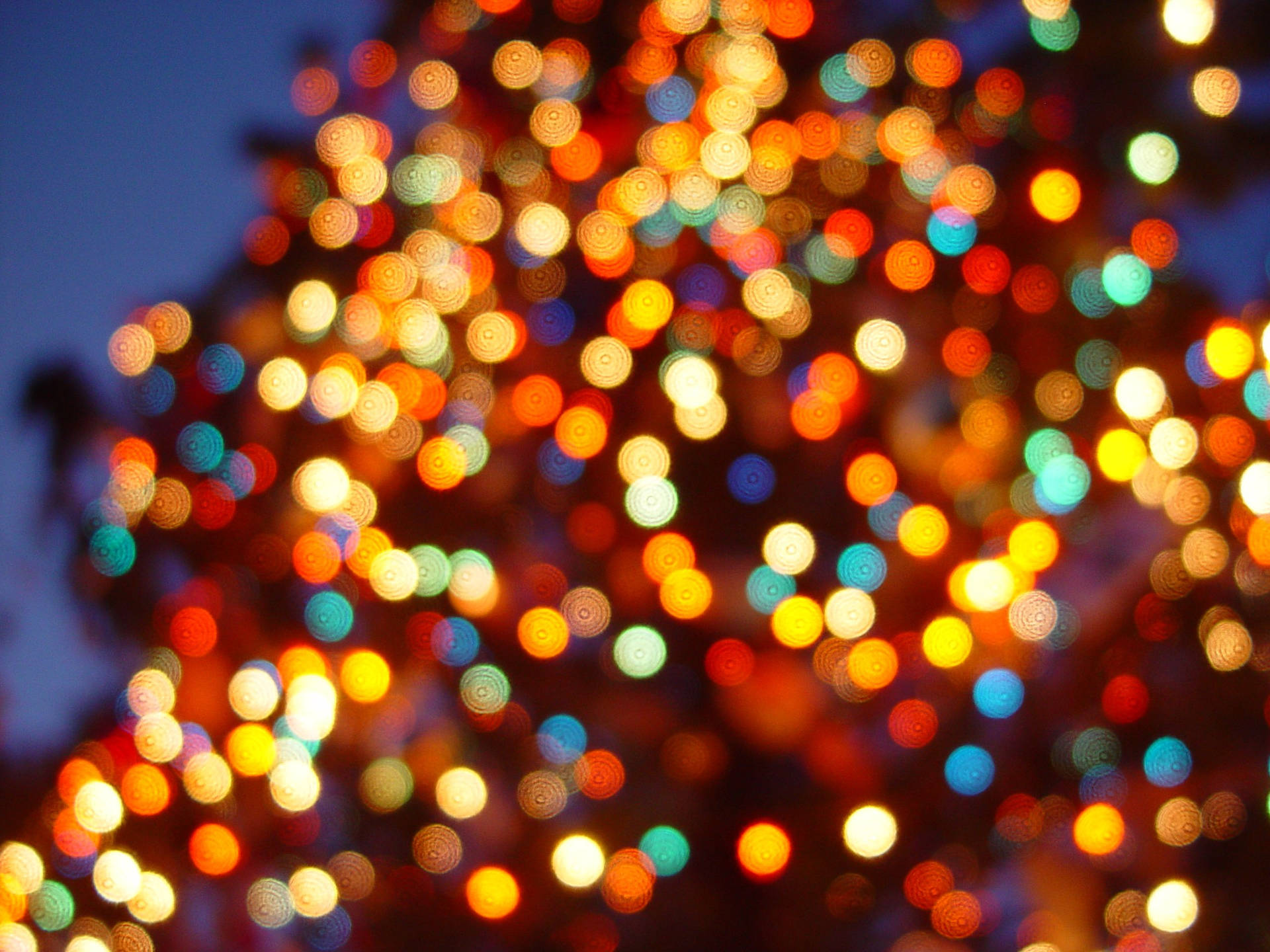 Colorful Led Christmas Lights Bokeh Background