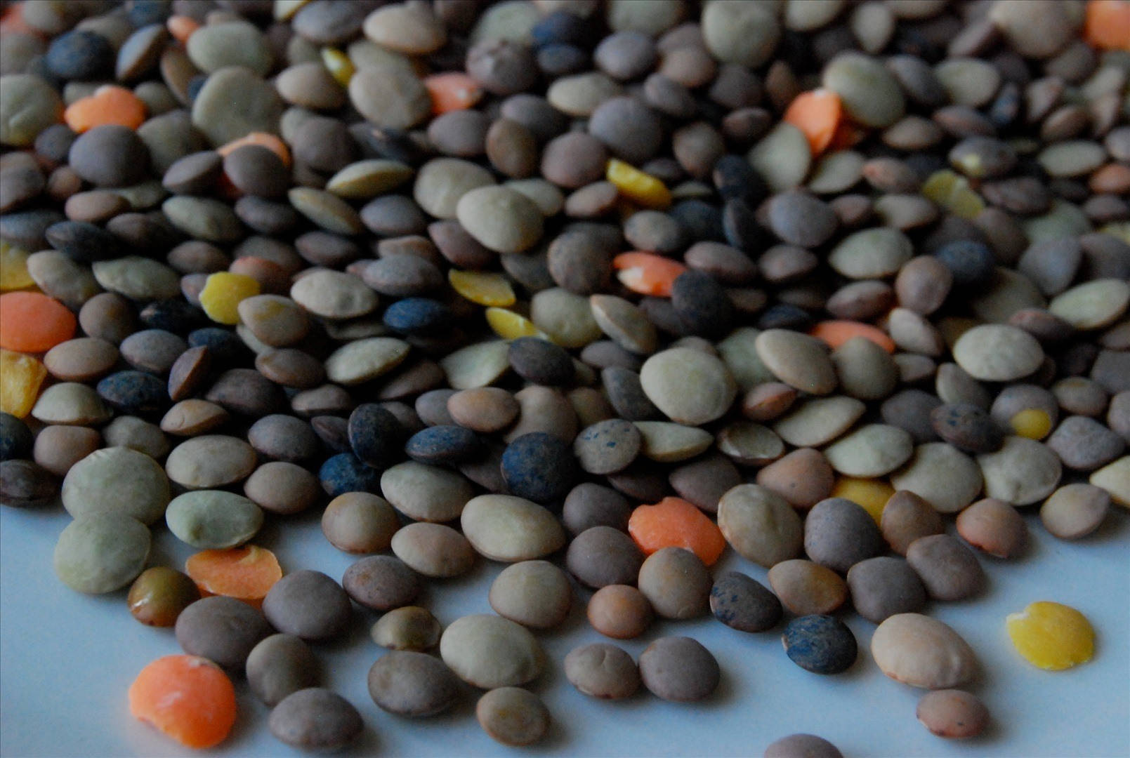 Colorful Lentils Displayed On A Sky Blue Surface