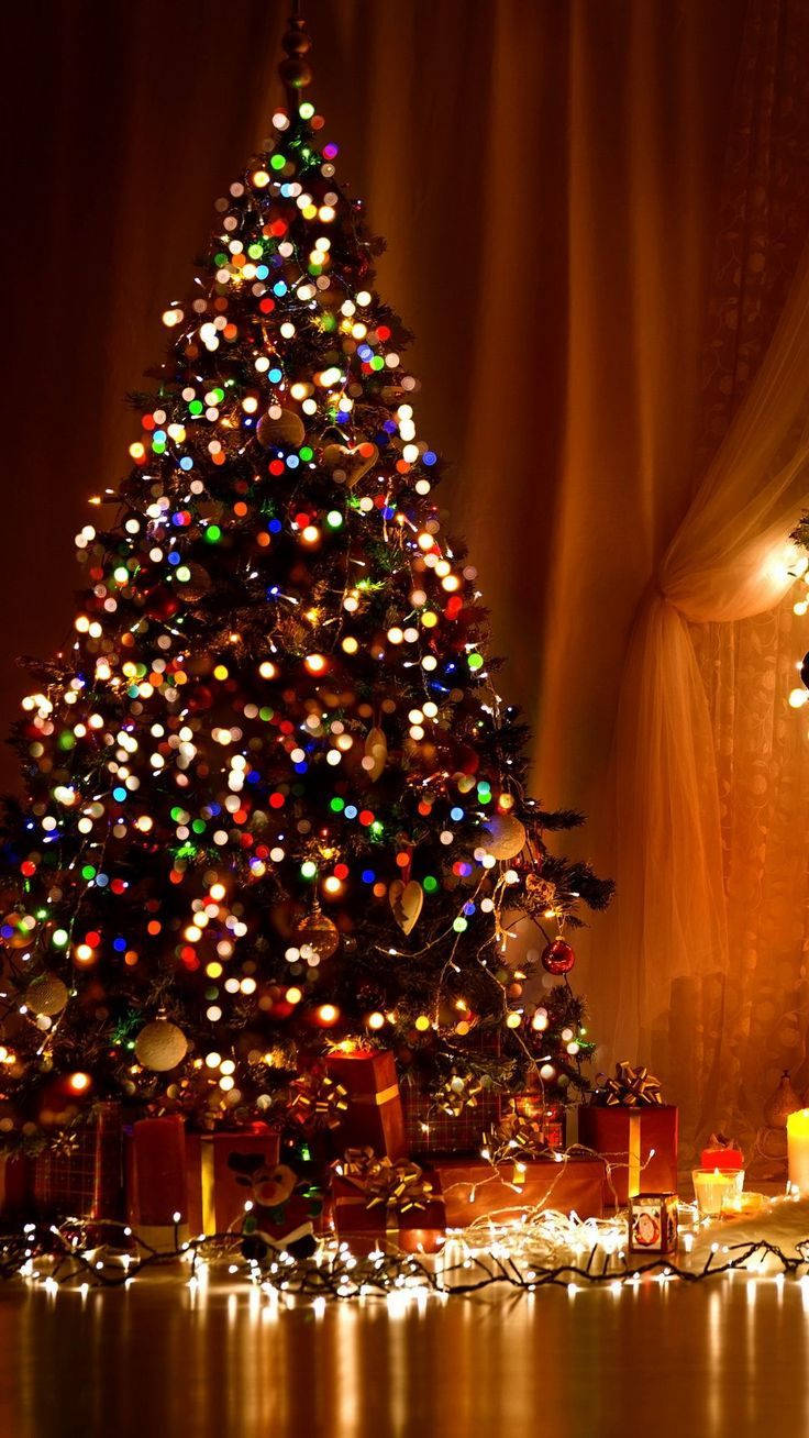 Colorful Lights Christmas Tree Background