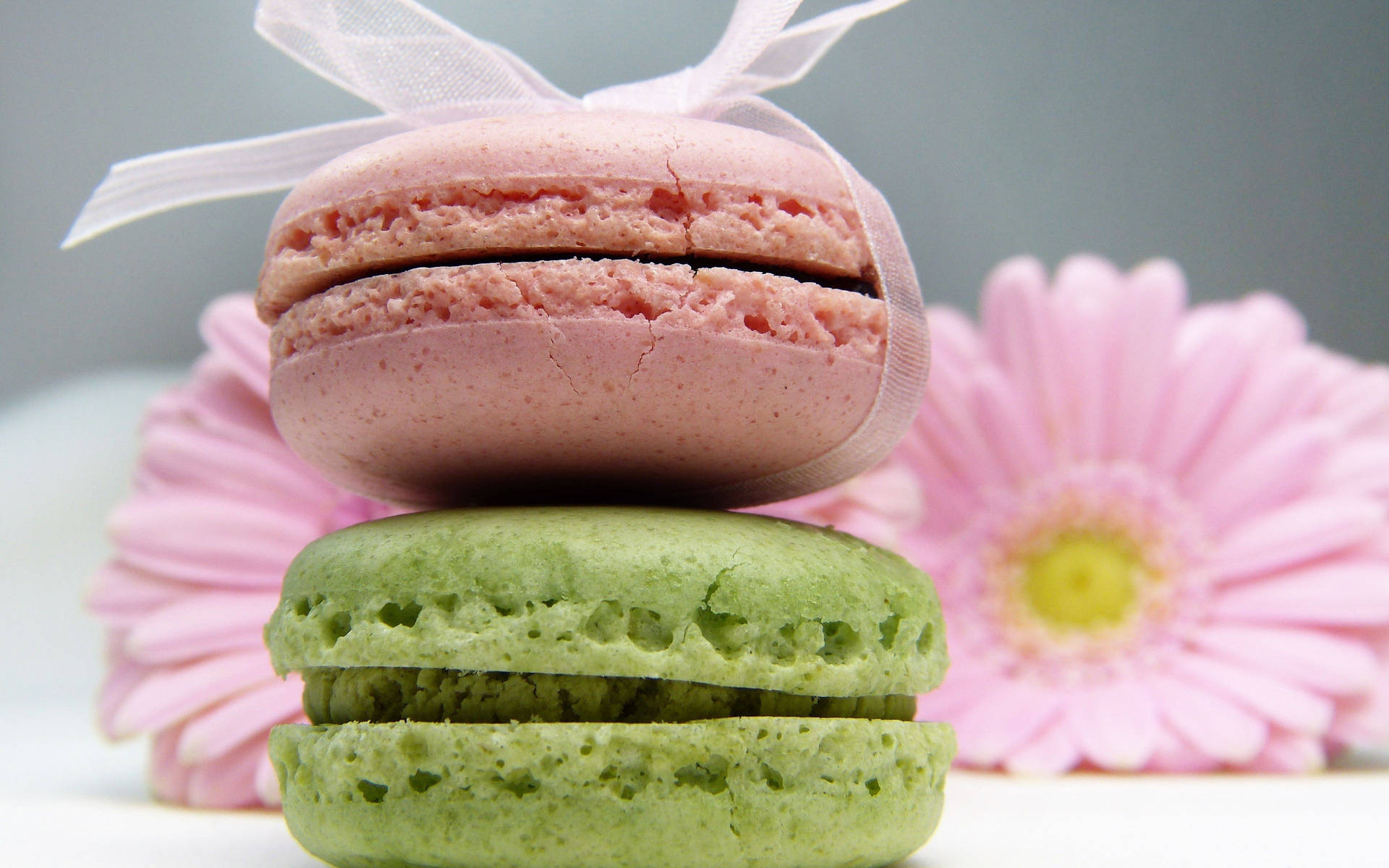 Colorful Macaron Desserts Background