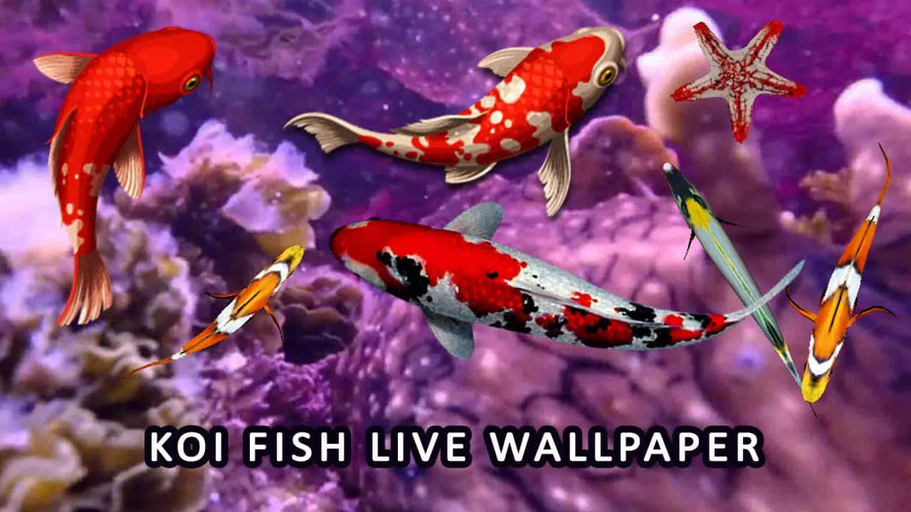 Colorful Marine Life Populate This Unique Aquarium Fish Tank Background