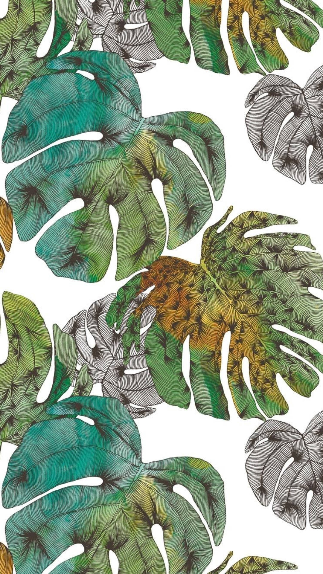 Colorful Monstera Leaves Art Background