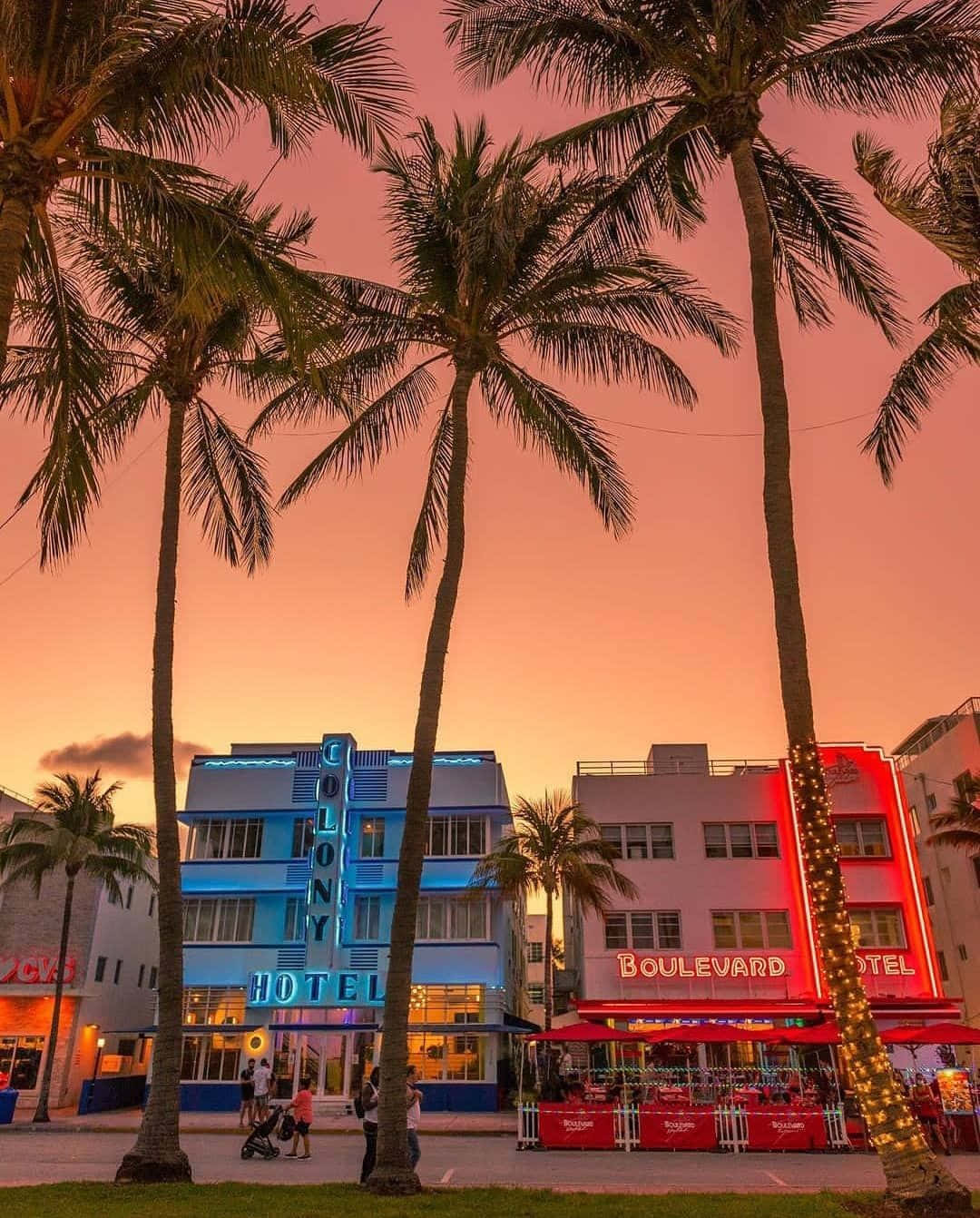 Colorful Neon Cityscape Of Miami, Florida At Night Background