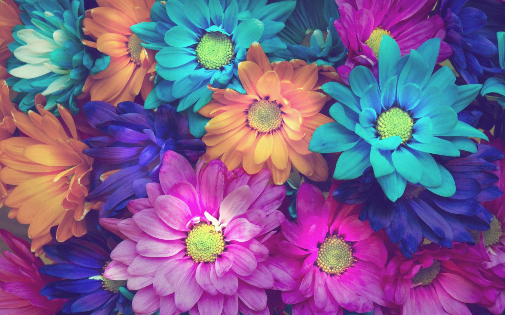 Colorful Neon Flower Background