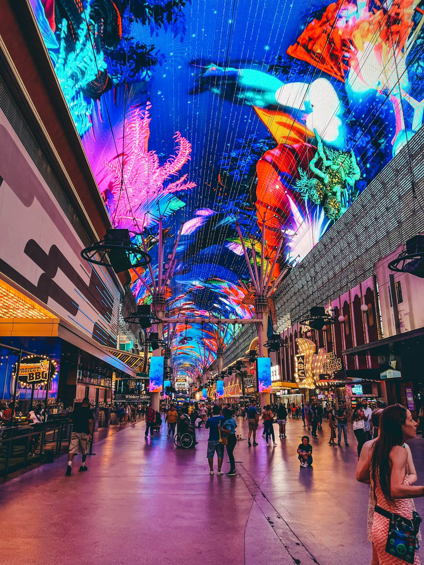 Colorful Neon Lights Fremont Street