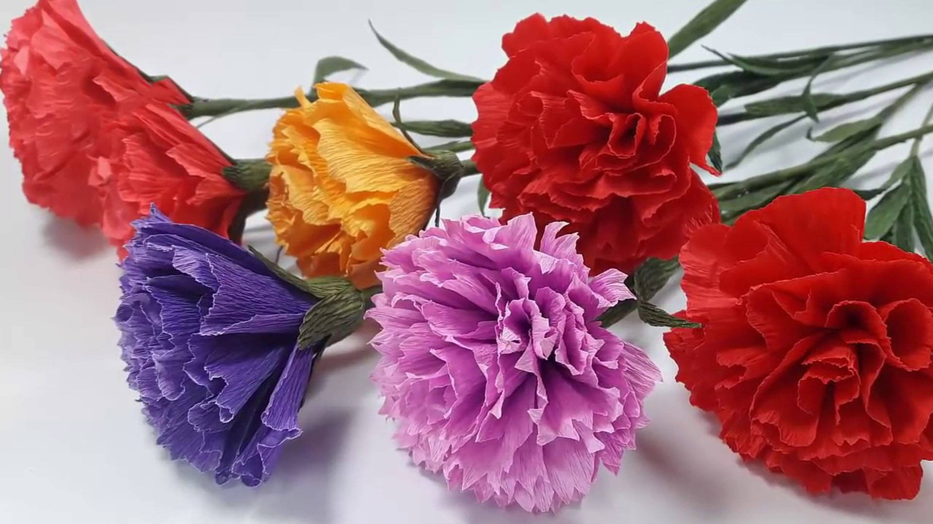 Colorful Paper Carnations Background