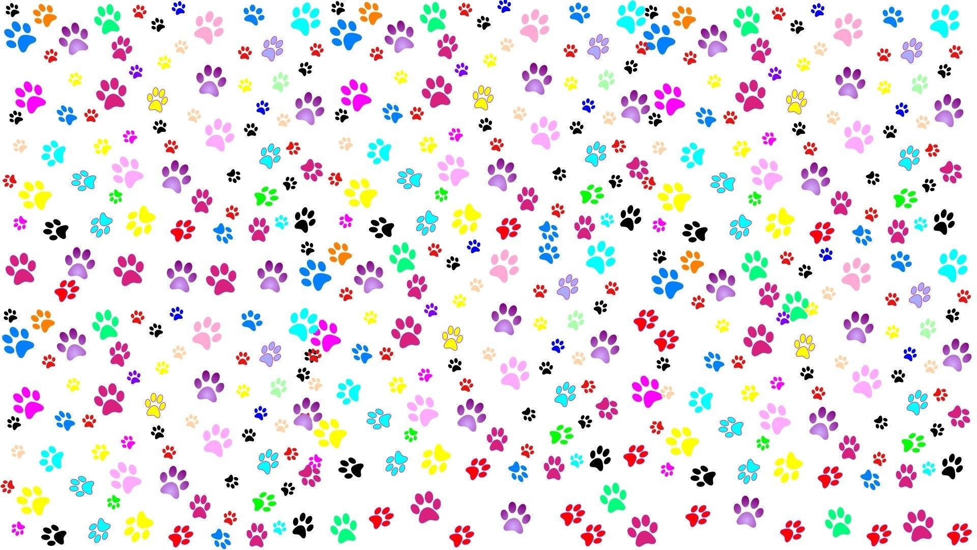 Colorful Paw Print Patterns Background
