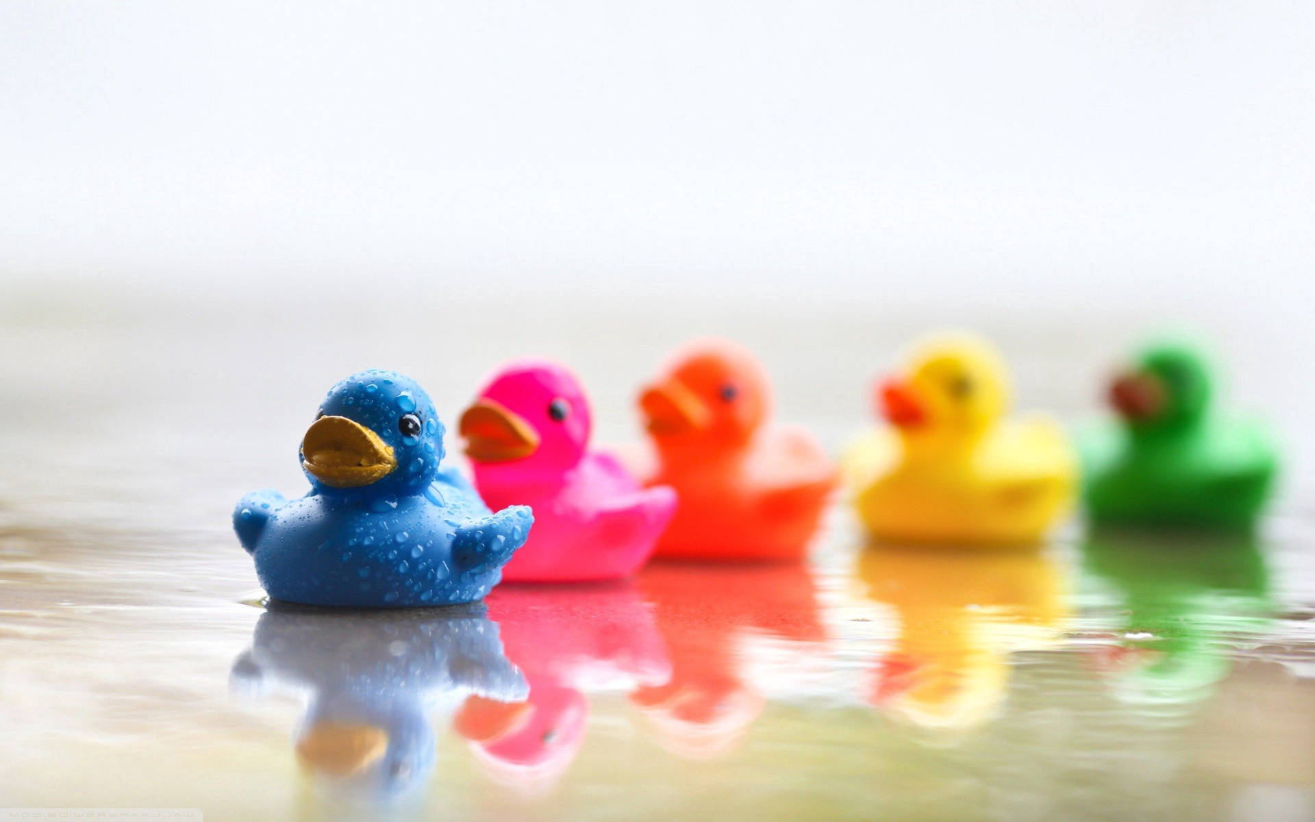Colorful Rubber Duck Background