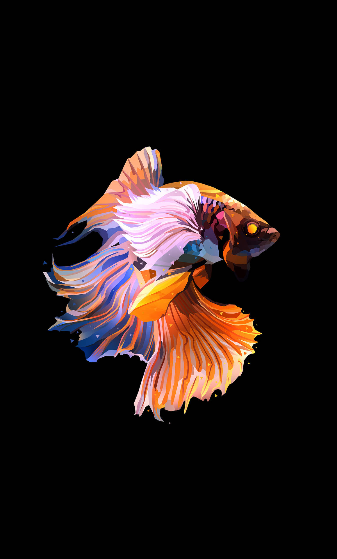 Colorful Siamese Fighting Fish Iphone Background