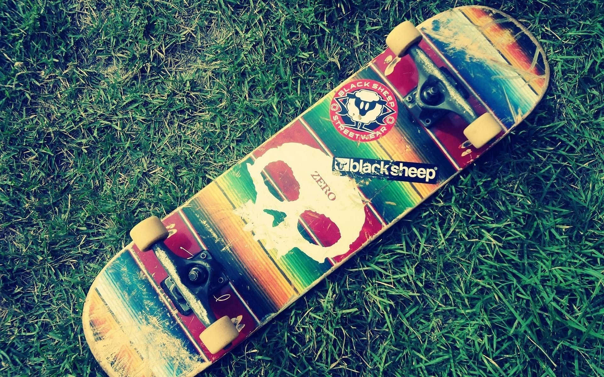 Colorful Skateboardon Grass.jpg Background