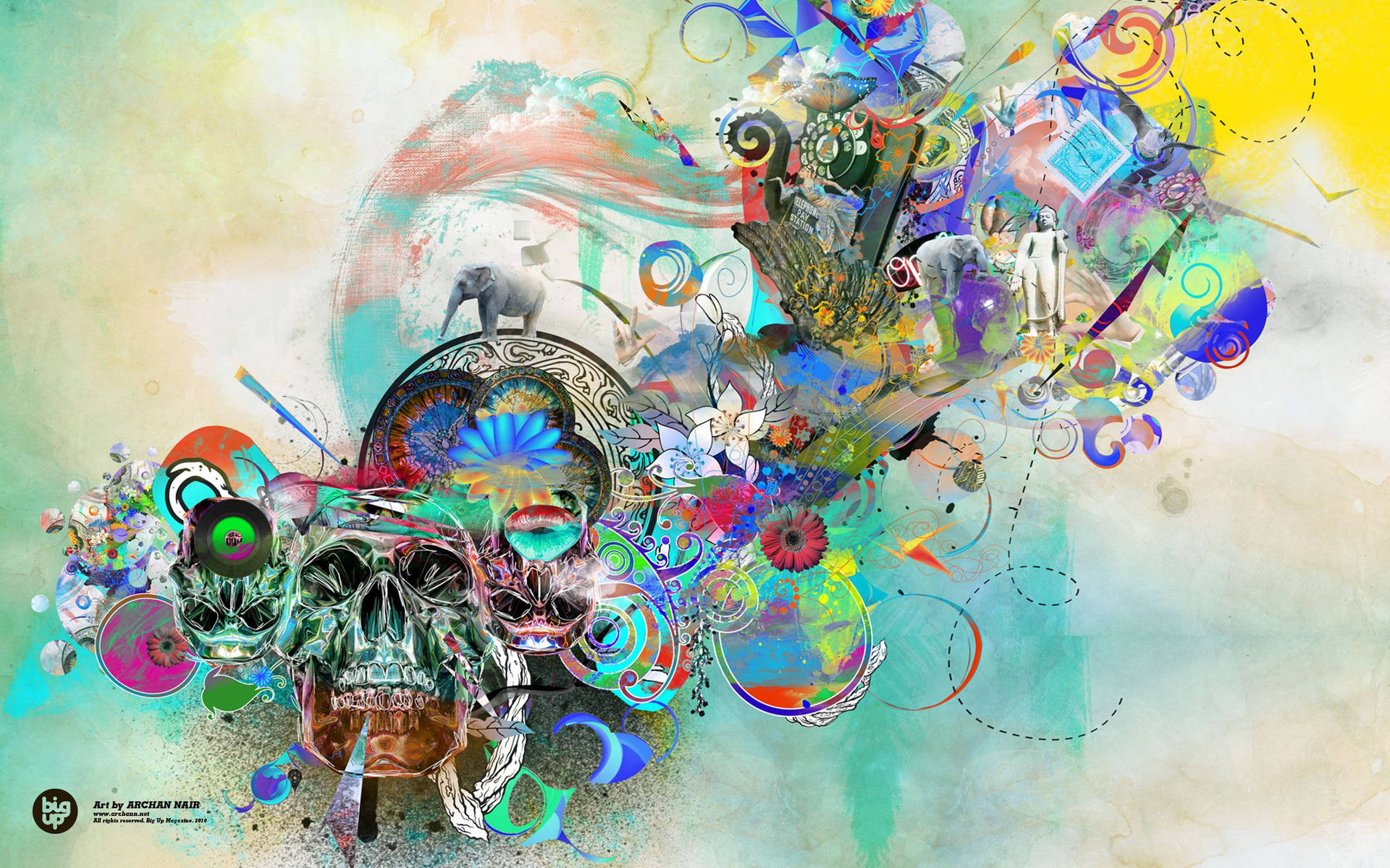 Colorful Skull Abstract Art Background