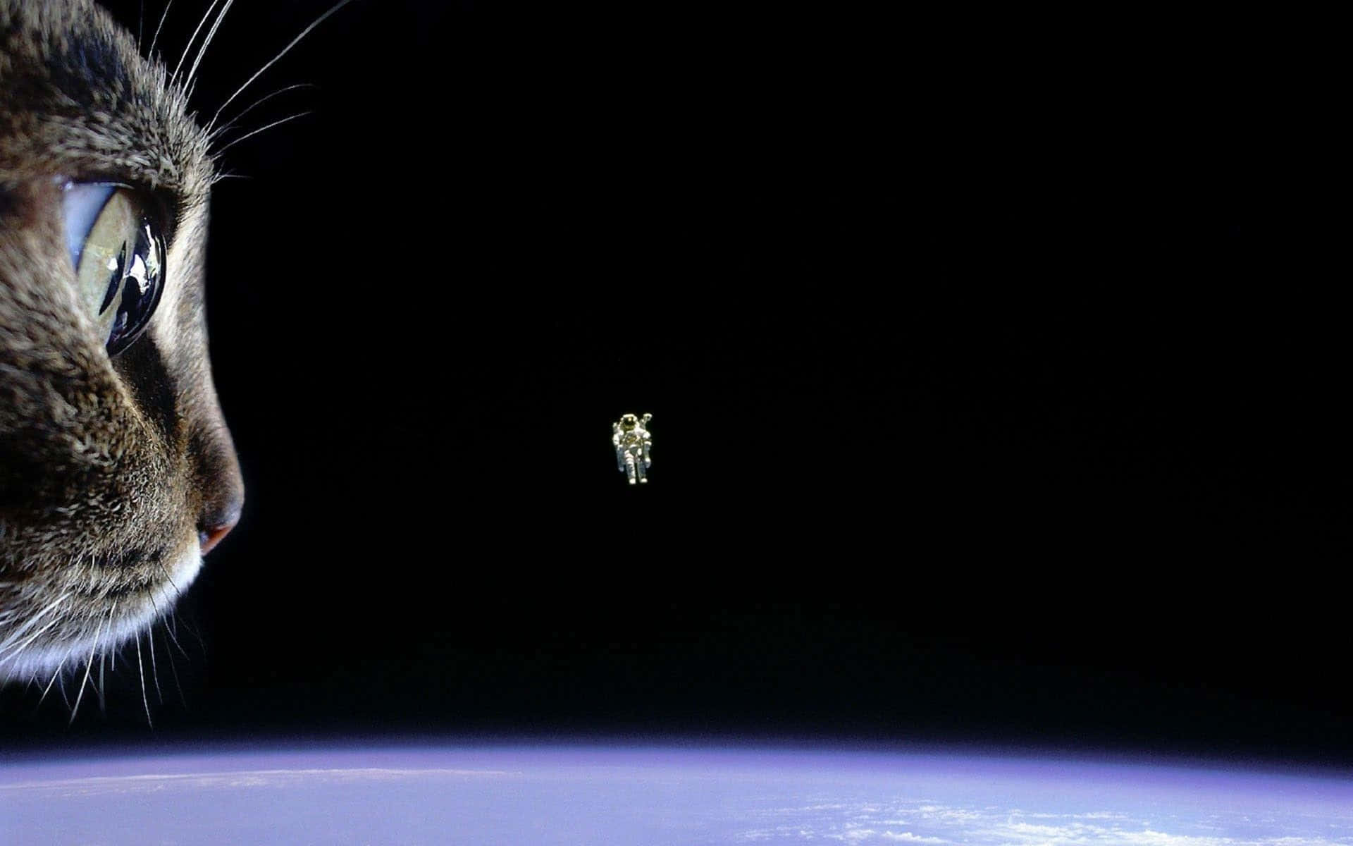 Colorful Space Voyage With A Curious Astronaut Background