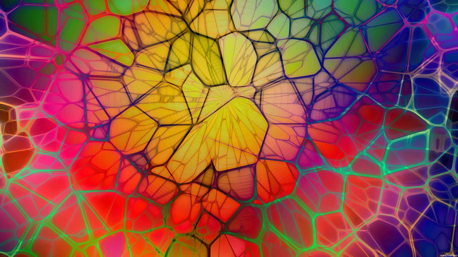 Colorful Spider Web Abstract Desktop