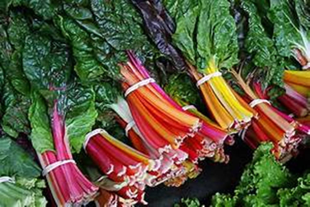 Colorful Swiss Chard Vegetable Bunches Background