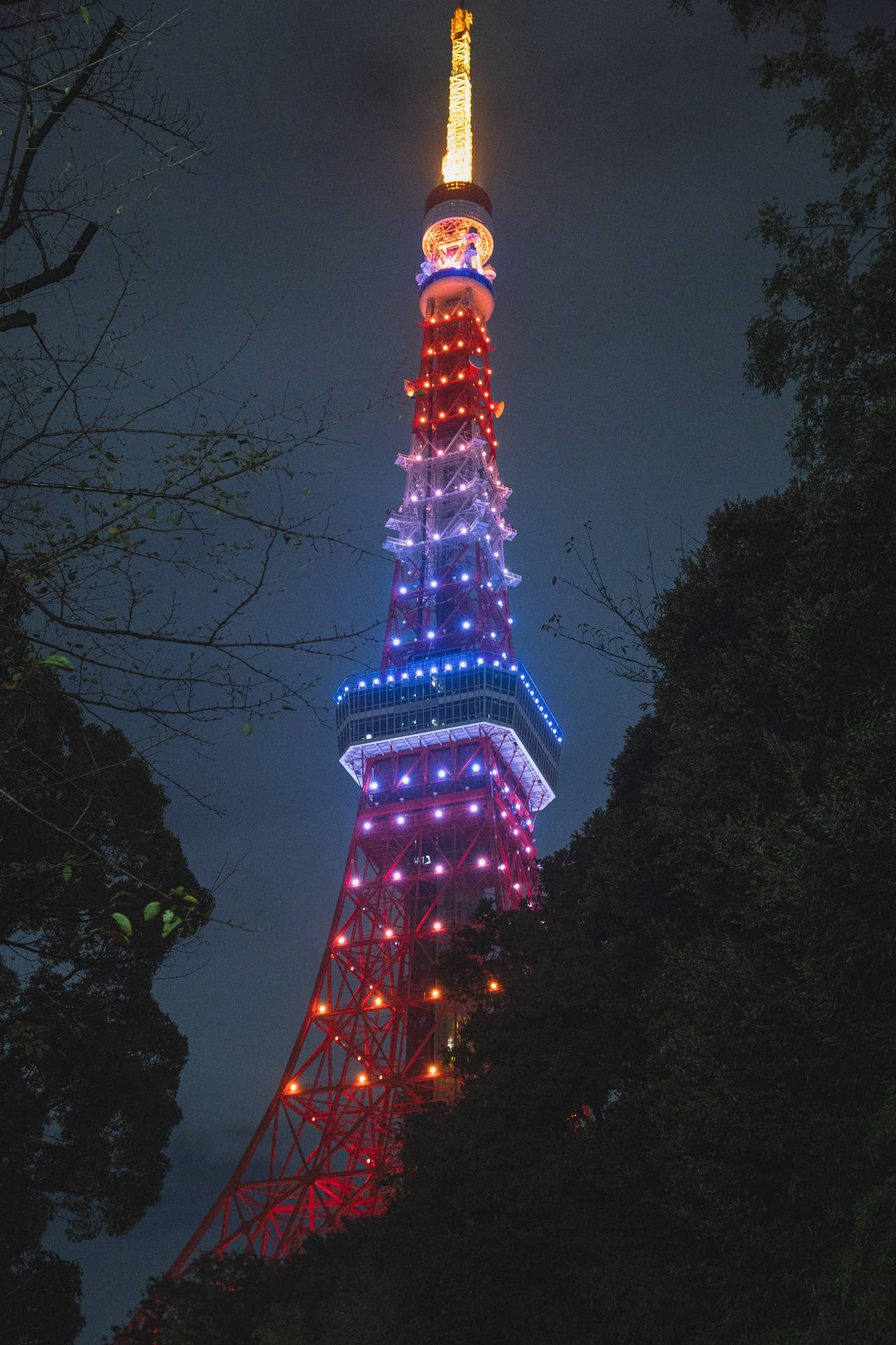 Colorful Tokyo Tower Illumination Background