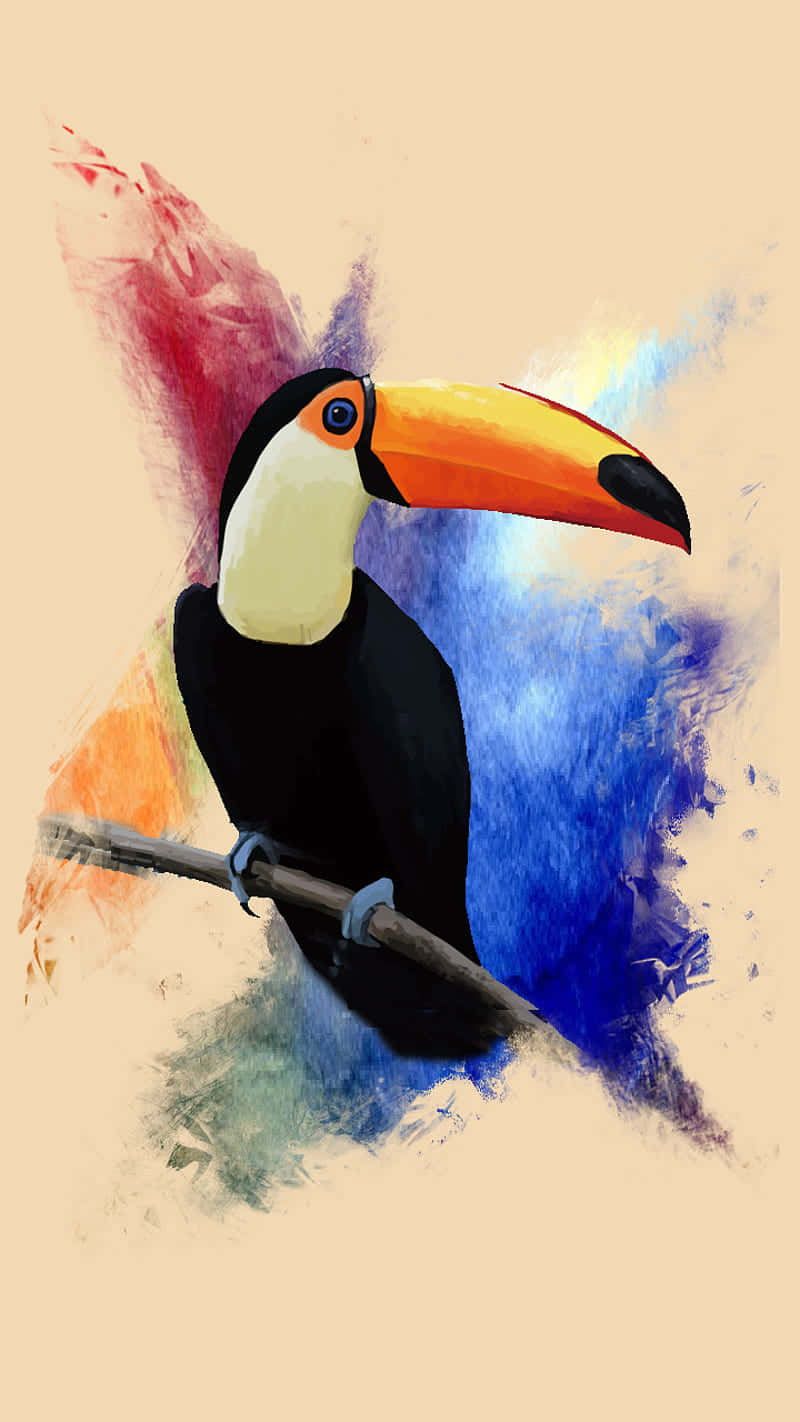 Colorful_ Toucan_ Artwork Background
