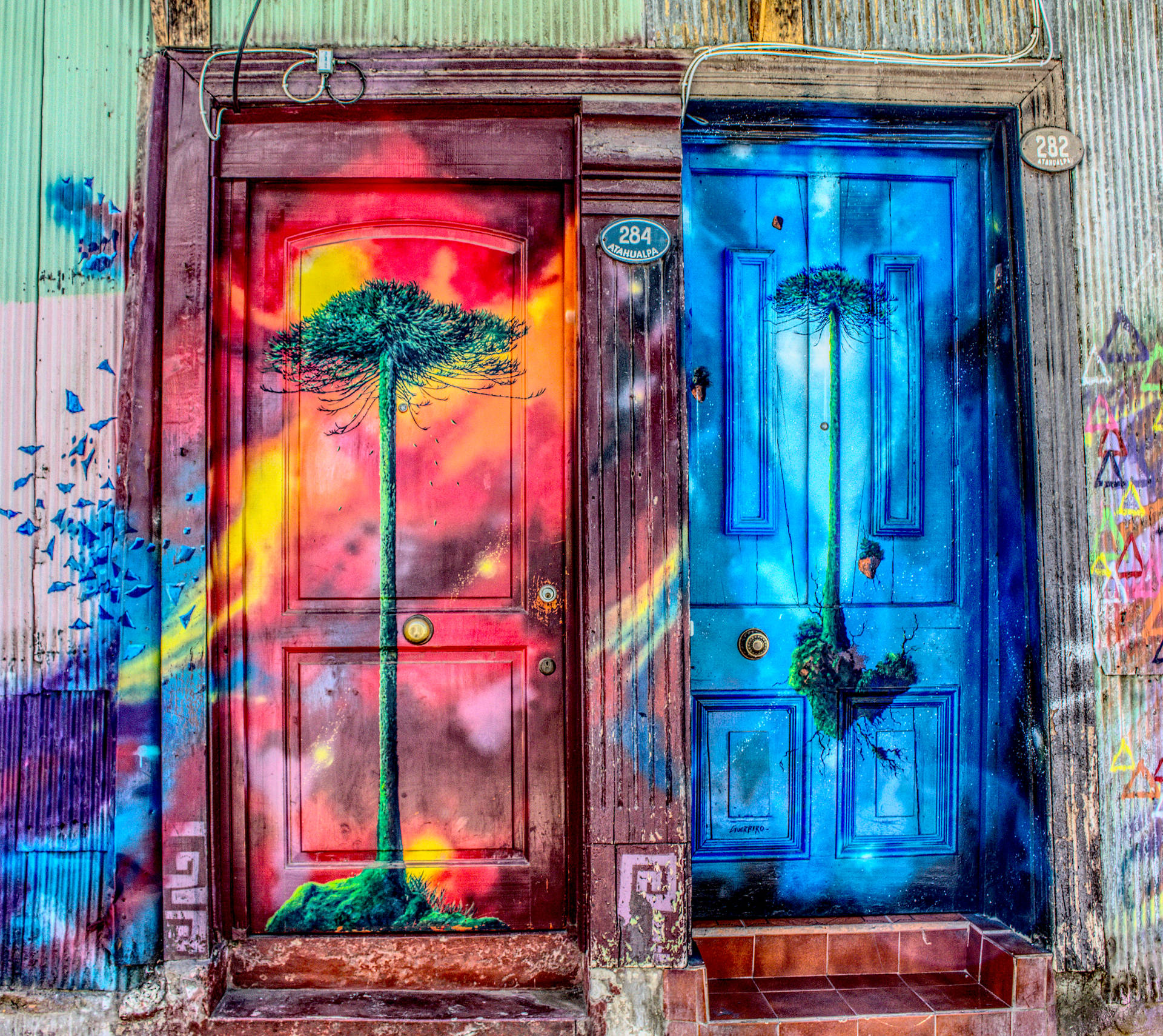 Colorful Tree Doors Street Art Background
