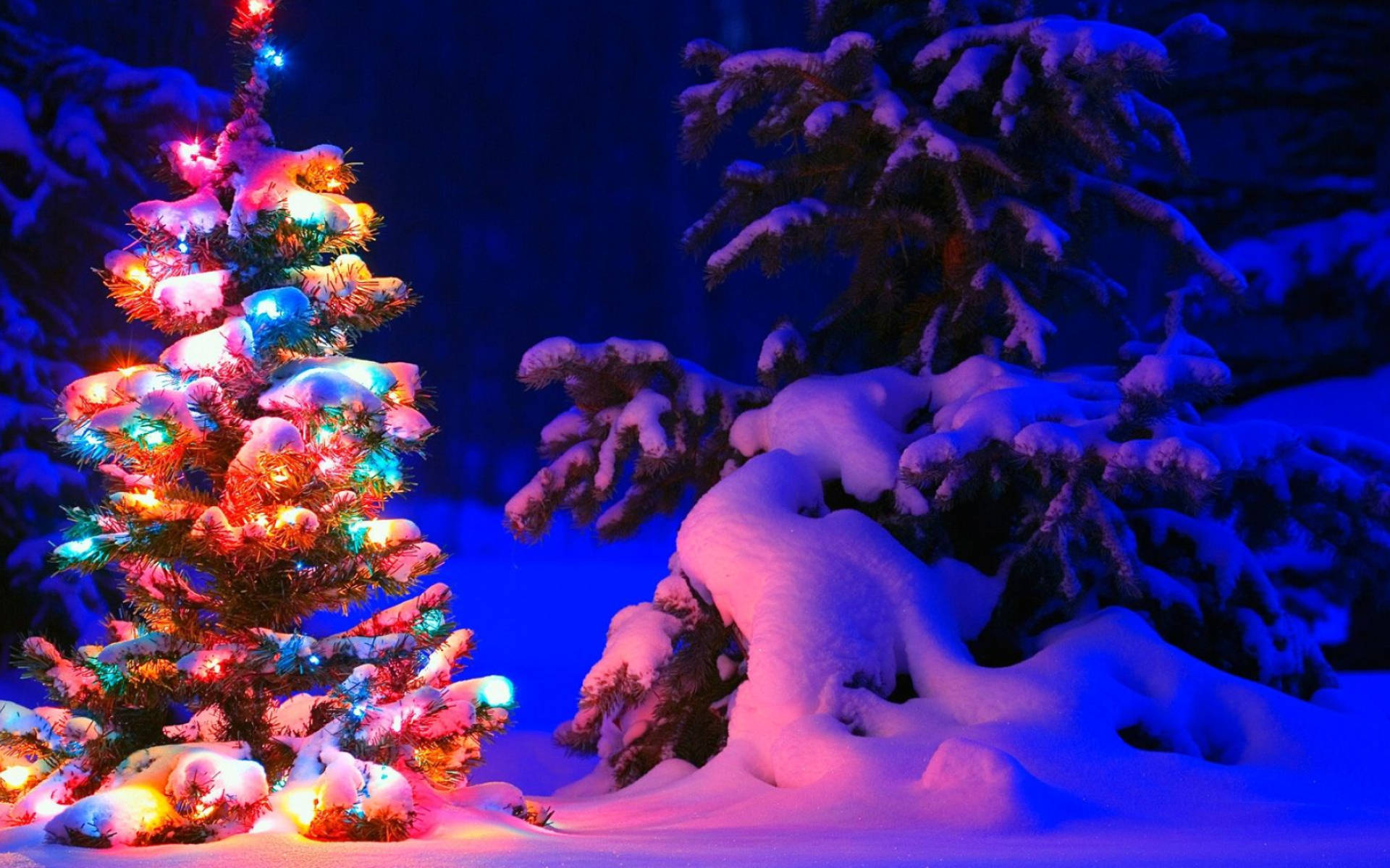 Colorful Tree In Christmas Forest Background