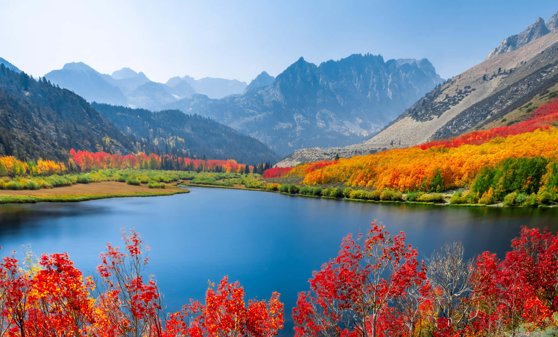 Colorful Trees During Early Fall Background