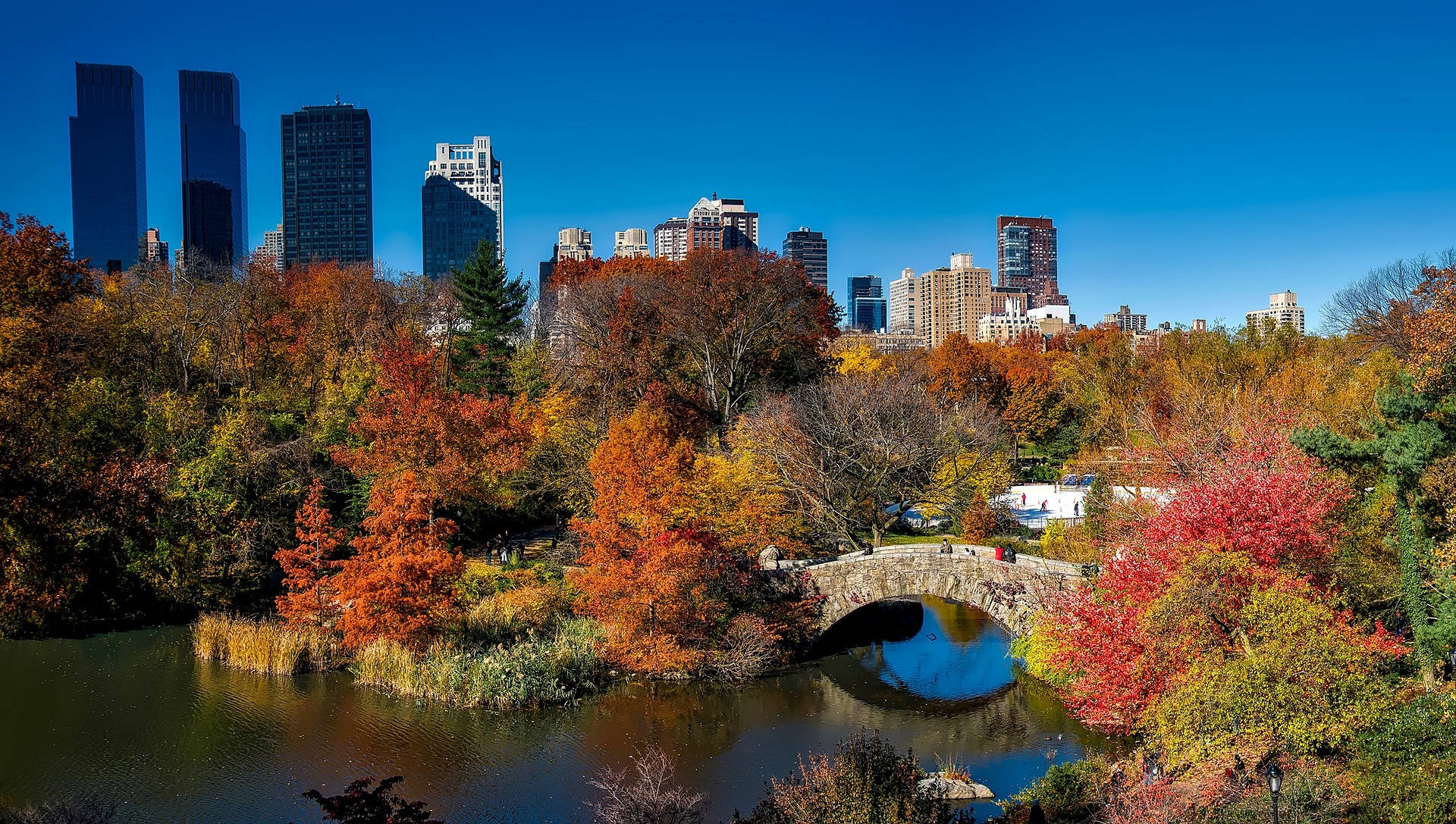 Colorful Trees In Central Park Background