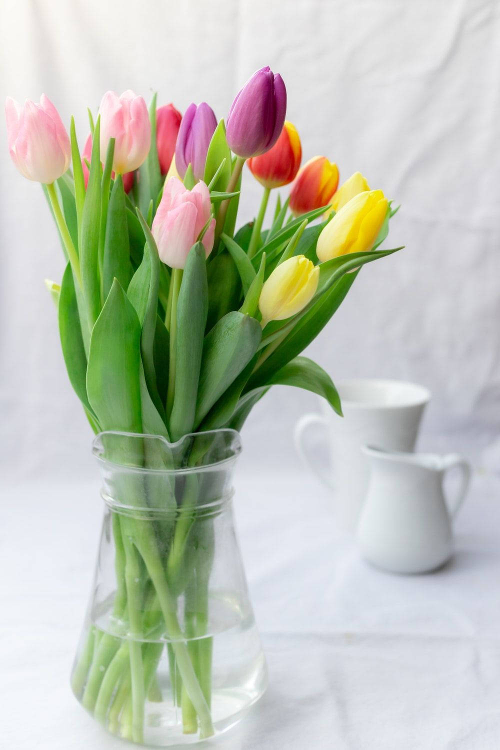 Colorful Tulips In A Flower Vase