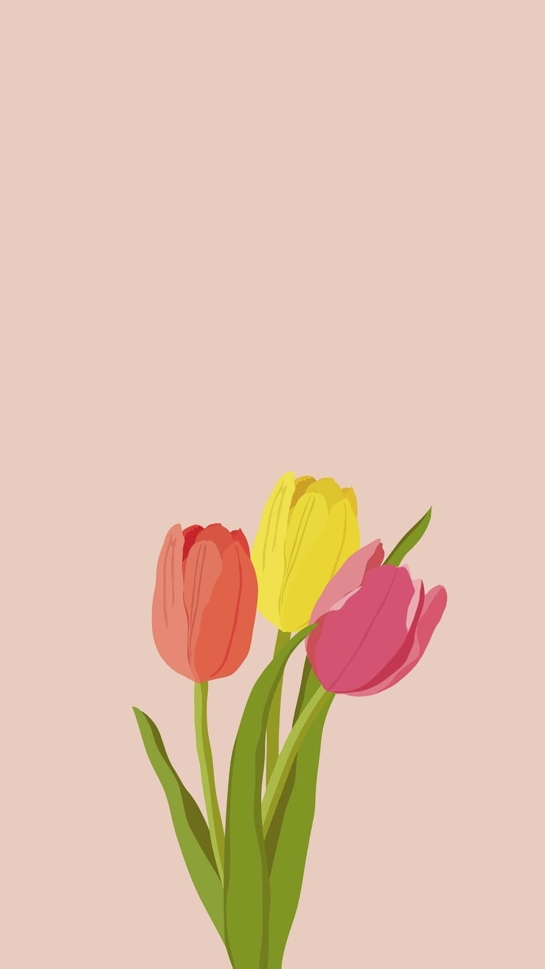Colorful_ Tulips_ Vector_ Illustration Background