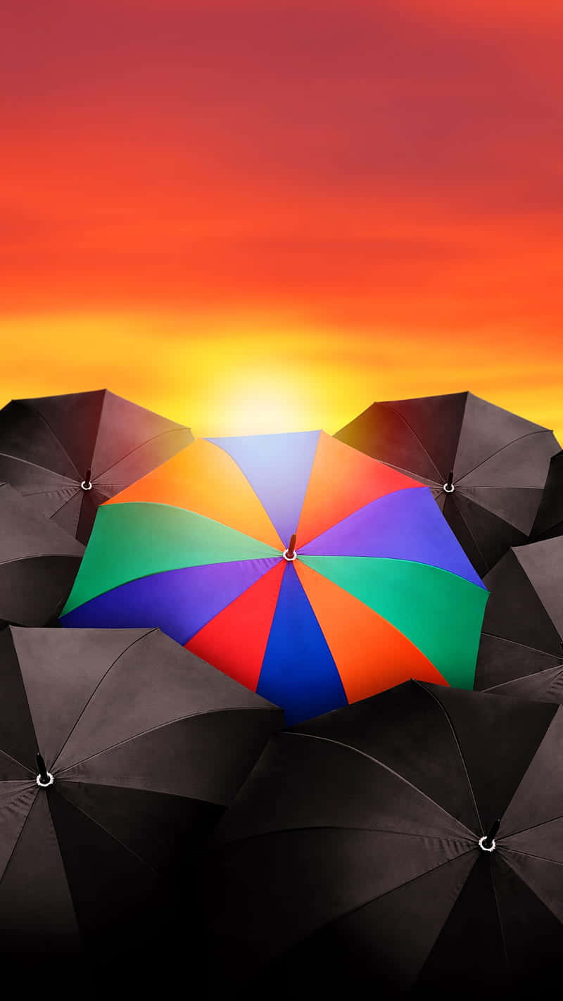 Colorful Umbrella Among Black Umbrellas Background