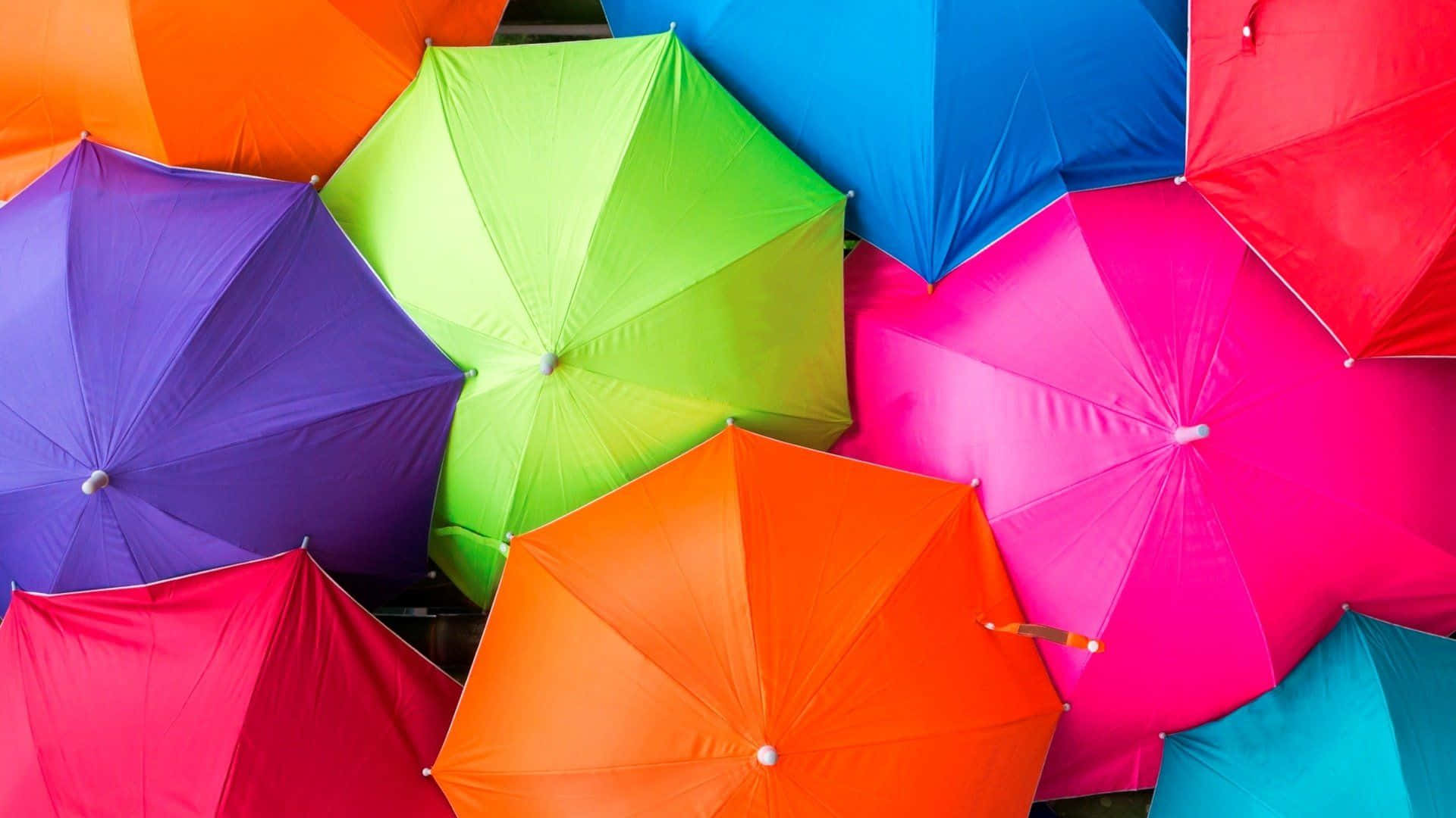 Colorful Umbrella Array