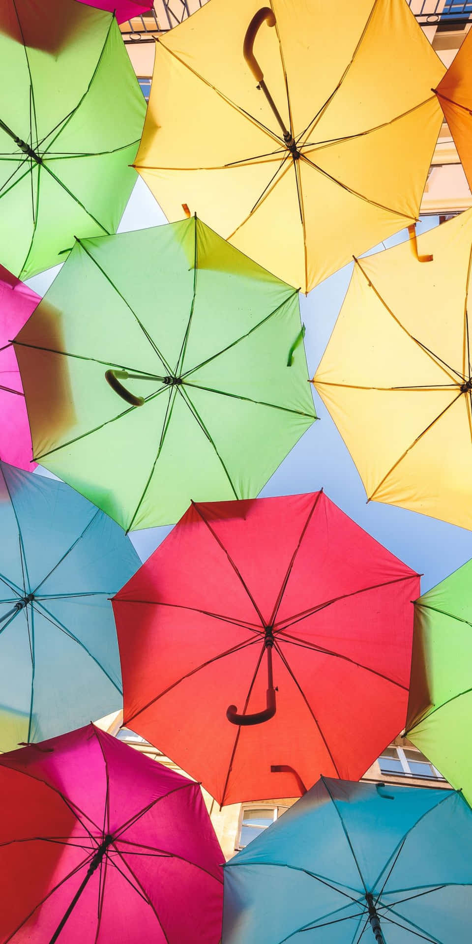 Colorful Umbrella Canopy Aerial View.jpg Background