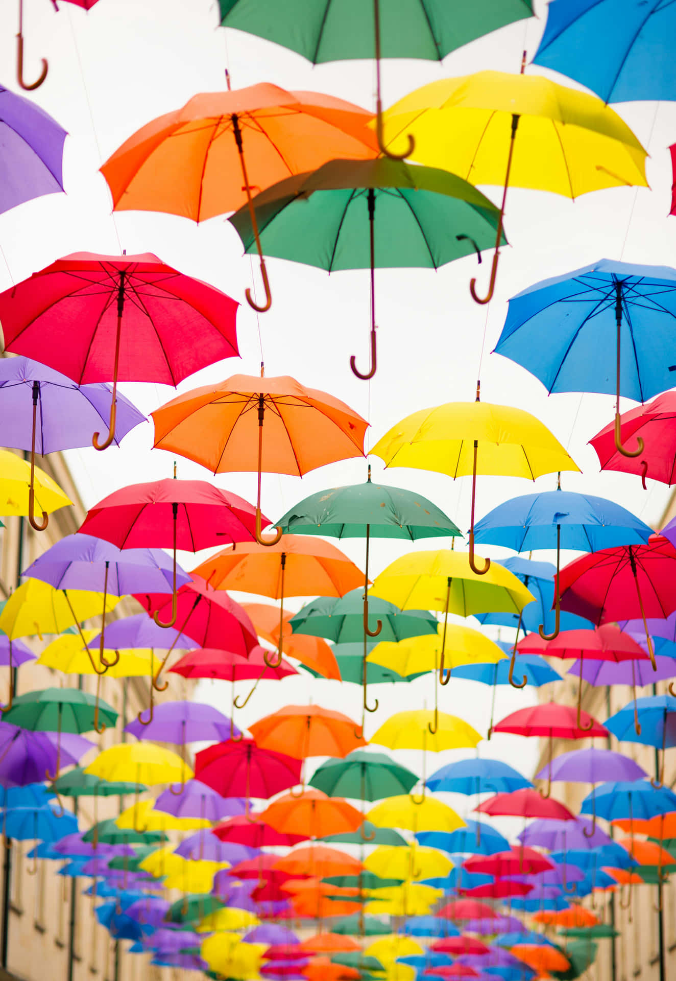 Colorful Umbrella Canopy Background