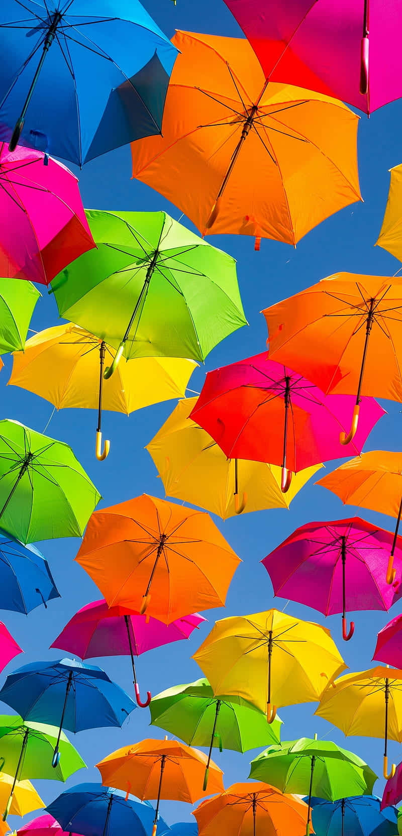Colorful Umbrella Canopy Sky