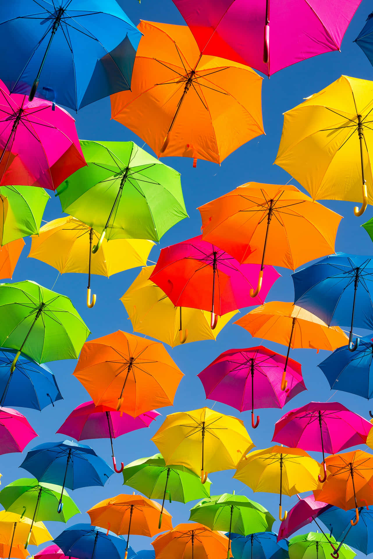 Colorful Umbrella Sky Background