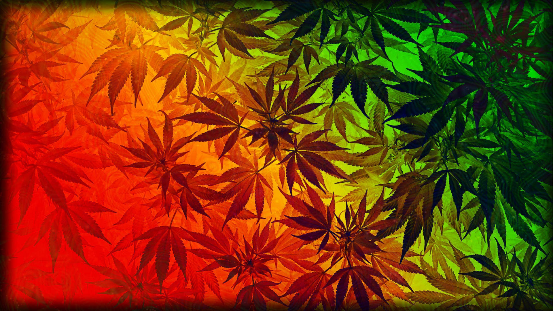 Colorful Weed Leaves Background